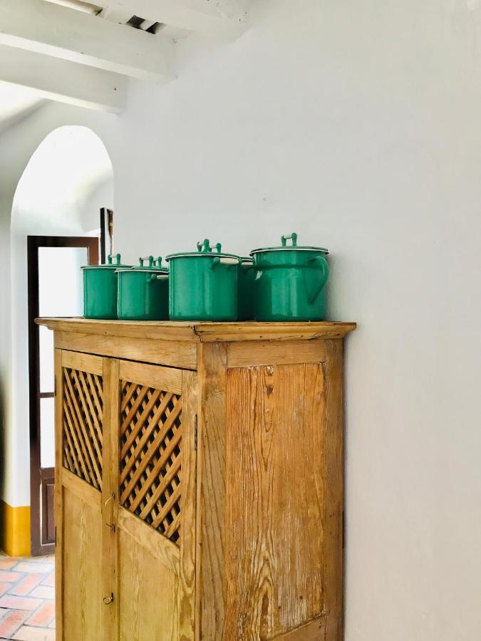 Apartamento San Juan Vejer de la Frontera Extérieur photo